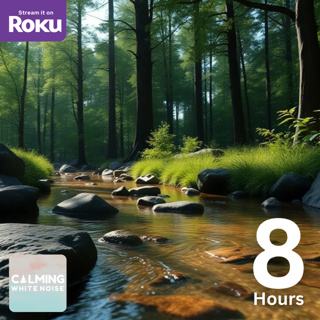 Relax with 8 Hours of Soothing Gentle Stream Sounds in a Peaceful Forest