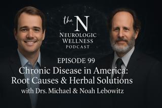 Chronic Disease in America: Root Causes & Herbal Solutions with Drs. Michael & Noah Lebowitz