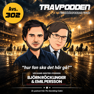 Avs. 302 - ”hur fan ska det här gå?”