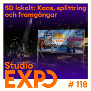 118. SD lokalt: Kaos, splittring och framgångar