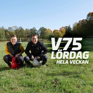 228. Lördag 17 februari: Bergsåker V75