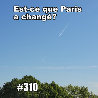 Comment c’est de revenir en France après deux ans ?(Alice Chance, Slow French, Paris Life)