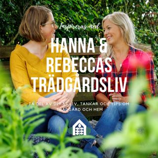 Avnitt 137 – Träd och skugga