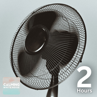 Fan Noise for Sleeping 💤 | Deep Sleep White Noise