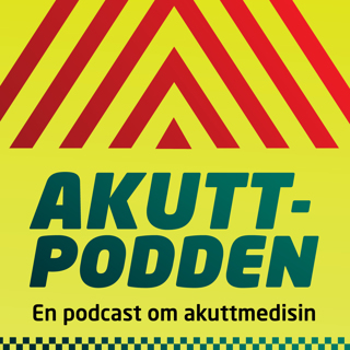 NIV - Noninvasiv ventilasjonsstøtte