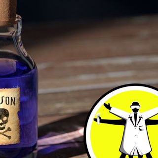 Q&A: Soy, Slingshots and Cyanide