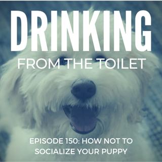 #68: My New Puppy is Awesome (But a lot of work, too)