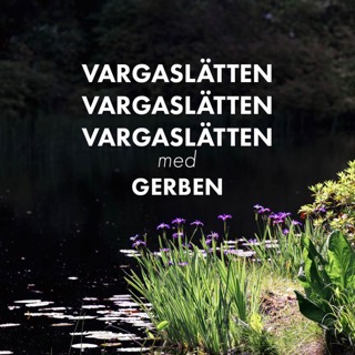 En rundvandring på Vargaslätten med Gerben Tjeerdsma