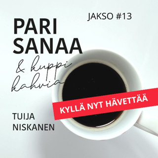 #13 Kyllä nyt hävettää