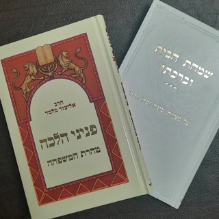 Wholesale Vs. Retail Halacha: Understanding the Rav Eliezer Melamed Controversy (103)