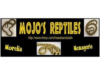 Moana McAdams from Mojo Reptiles joins us.