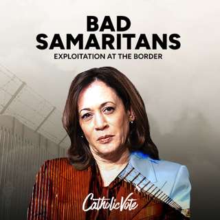 Bad Samaritans Ep. 5: A Crisis of Perceived Corruption and Public Trust