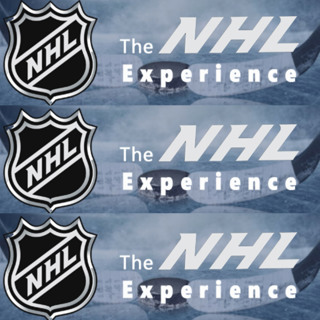 Friday, May 1: The NHL Experience