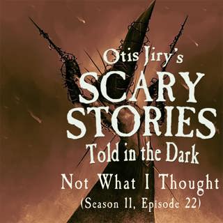 S11E22 – "Not What I Thought" – Scary Stories Told in the Dark