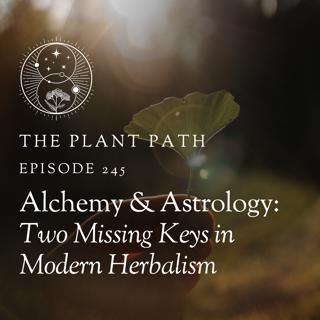 Alchemy & Astrology: Two Missing Keys in Modern Herbalism