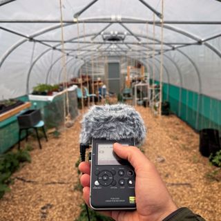 The Sound of Storm on Polytunnel