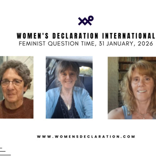 The Work of the WDI International Law / UN Group Retaining Sex, Not Gender, in International Law and Defending Women’s Rights