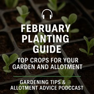 🎧 February Planting Guide: Top Crops for Your Garden and Allotment | Gardening Tips & Allotment Advice Podcast