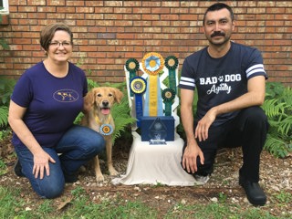 283: Running Other People's Dogs