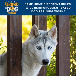 Same Home Different Rules: Will Reinforcement Based Dog Training Work? #118