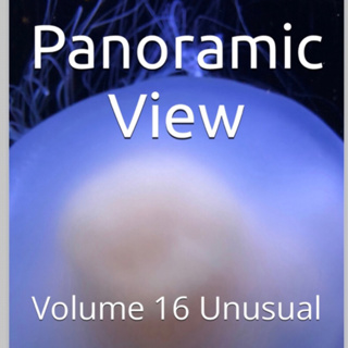Panoramic View Volume 16 Unusual by Daniel Lucas