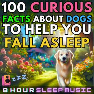 🐶 100 Curious Facts About Dogs | 35-Minutes of Dog Facts with 8 Hours of Relaxing Music & Nature Sounds for Deep Sleep 😴
