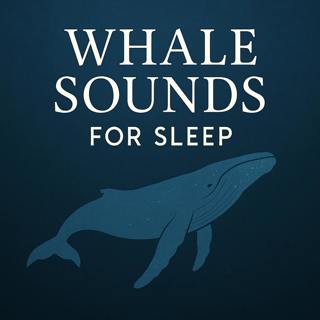 Whale Sounds for Sleep
