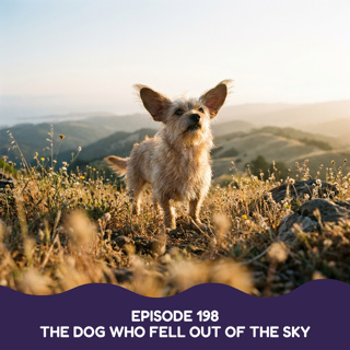 The Dog Who Fell Out of the Sky