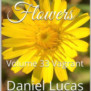 Spring Flowers Volume 33 Vagrant by Daniel Lucas
