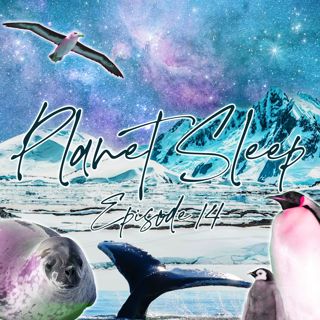 15: An Icy Chill Expedition In Antarctica