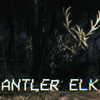 Antler Elk