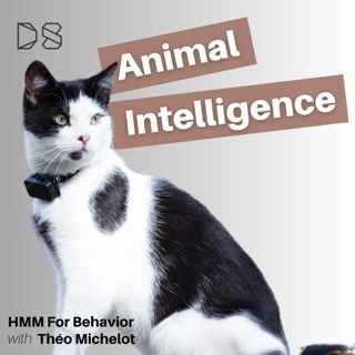 HMMs for Behavior