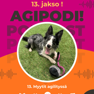 13. Myytit agilityssa