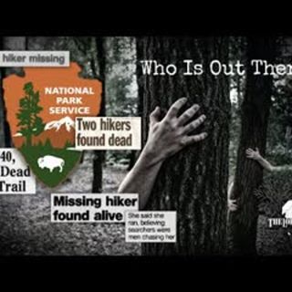 Missing 411 The Feral People Theory Into Thin Air