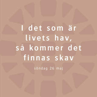 I det som är livets hav, så kommer det finnas skav – Gustav Frankal