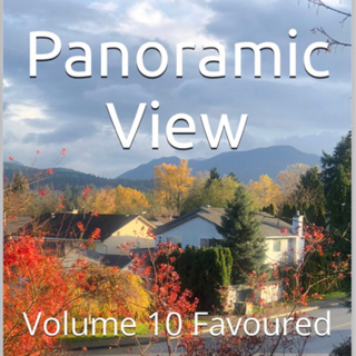 Panoramic View Volume 10 Favoured by Daniel Lucas