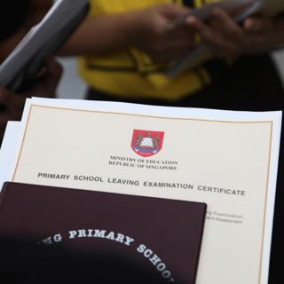 #308: PSLE Results