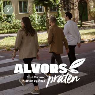 Alvorspraten #31 SYND