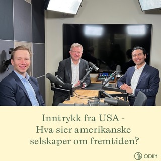 Inntrykk fra USA - Hva sier amerikanske selskaper om fremtiden?