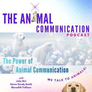 The Power of Animal Communication