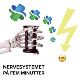 Nervesystemet på fem minutter