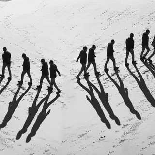 Polariseringens näring och motgift