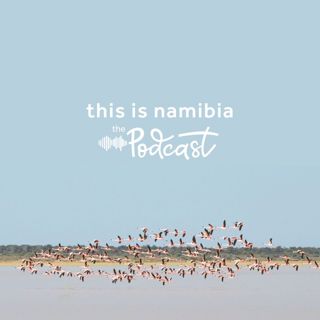 The Pan's Pink Pilgrimage: Flamingos of Etosha National Park