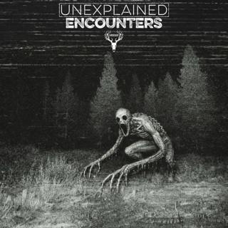 When the Woods Go Silent, You Have 10 Minutes Left