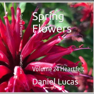 Spring Flowers Volume 25 Heartfelt by Daniel Lucas.