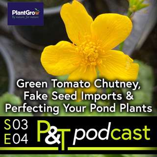 Clematis Crisis, Fake Seed Imports & Perfecting Your Pond Plants
