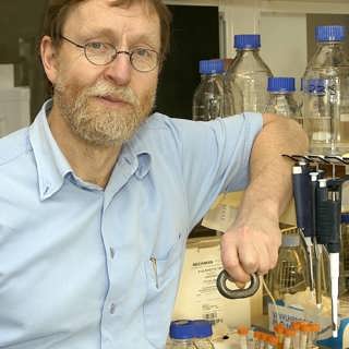 Proteinpussel kan öppna för att enklare ställa diagnoser