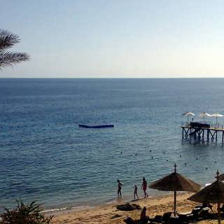 Ekonomin efter den arabiska våren