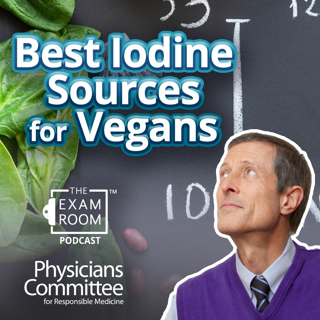 Best Vegan Sources of Iodine