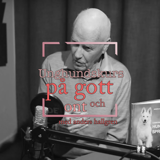 Unghundskurs - På gott och ont